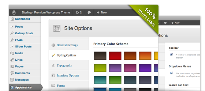 Premium WordPress Theme - Admin Options Panel